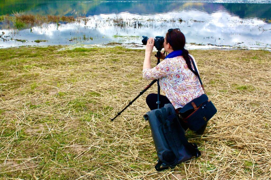 Arquetopia Artists 6