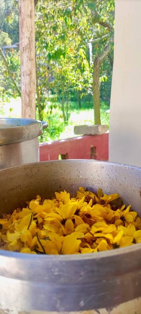 Arquetopia Natural Pigments Residency 1af